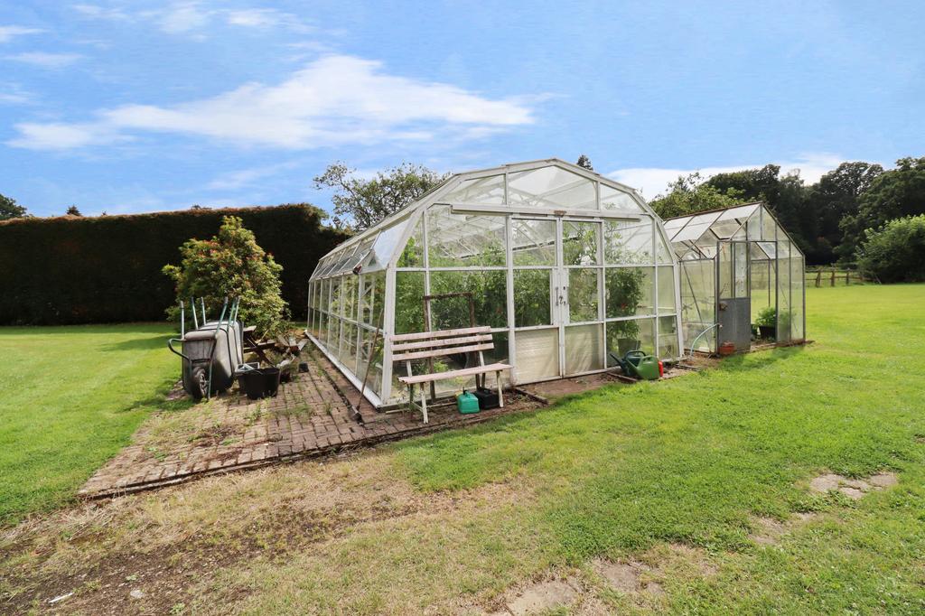 Conservatory interior, conservatory