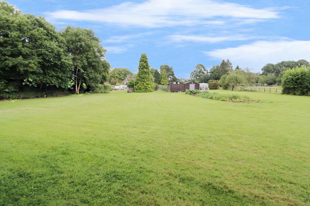 Garden view, garden