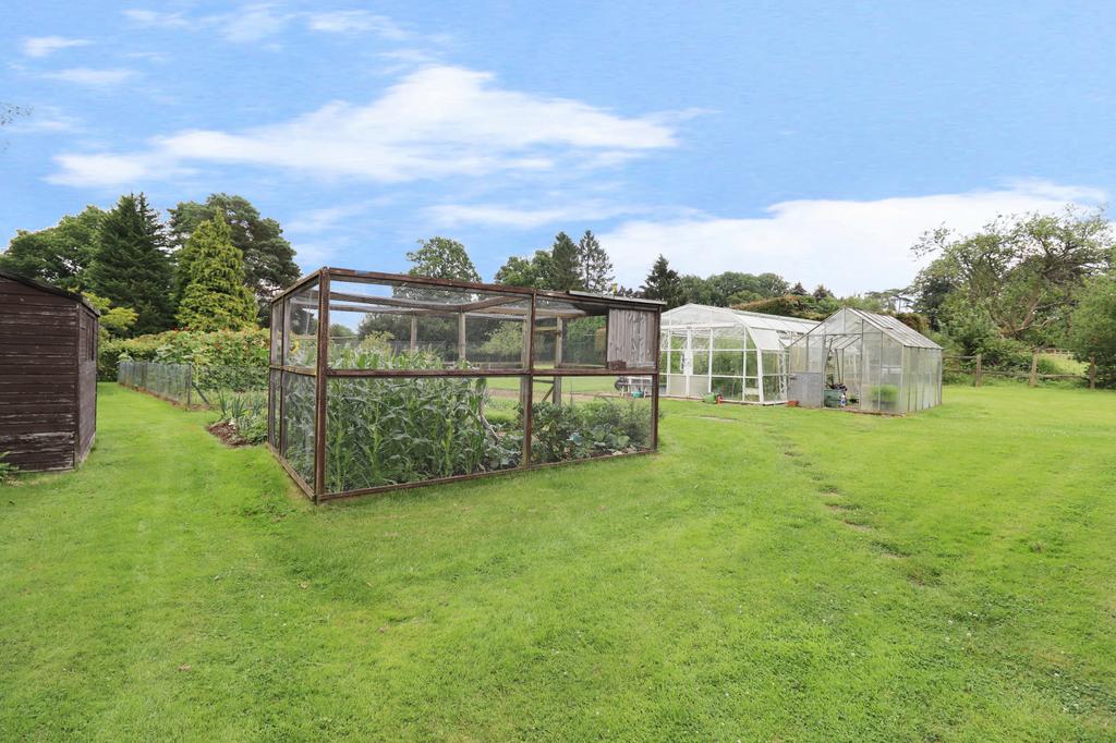 Garden view, garden