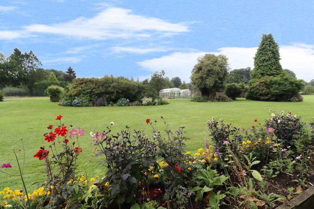 Garden view, garden