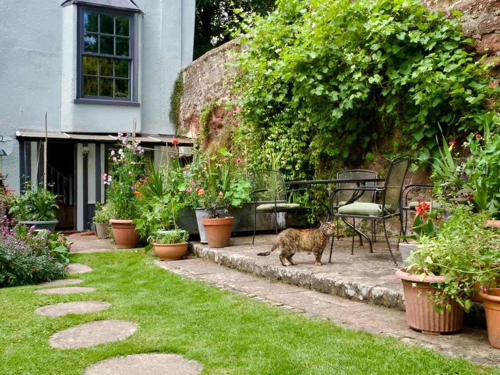Garden pic 1