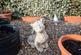 DSC02520-HDR.jpg