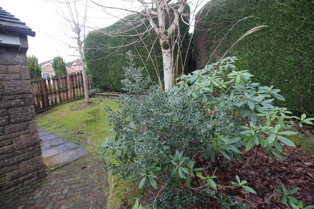 Img 8796.jpg