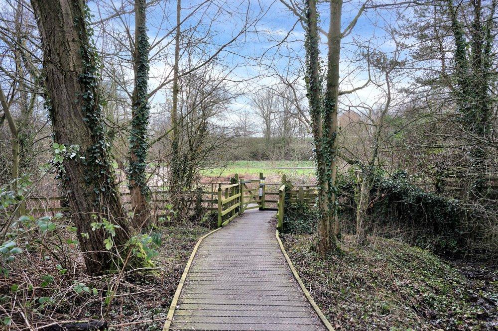 Local Walks