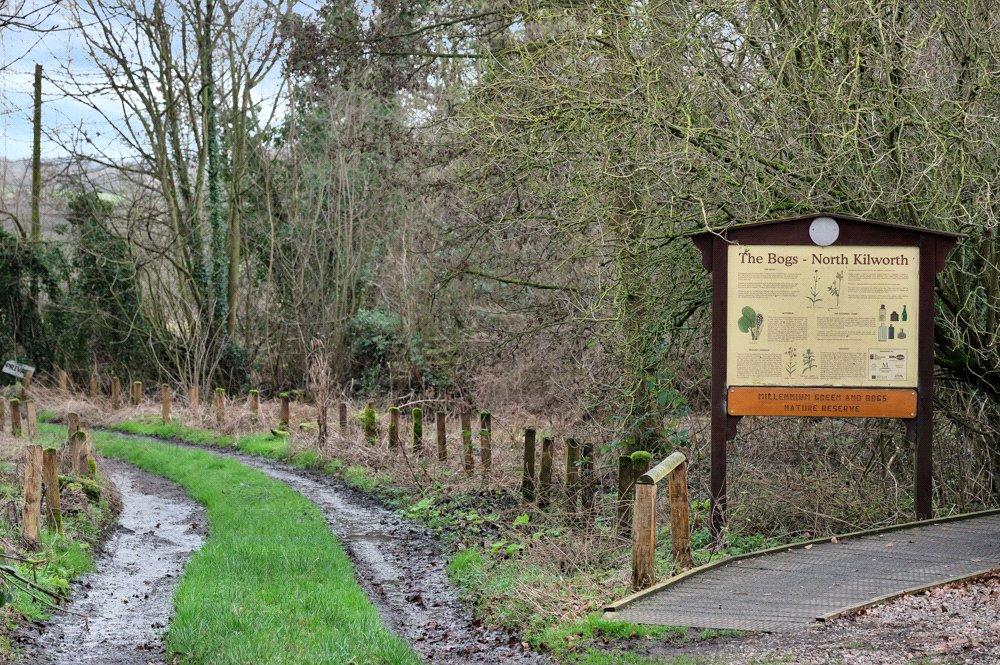 Local Walks