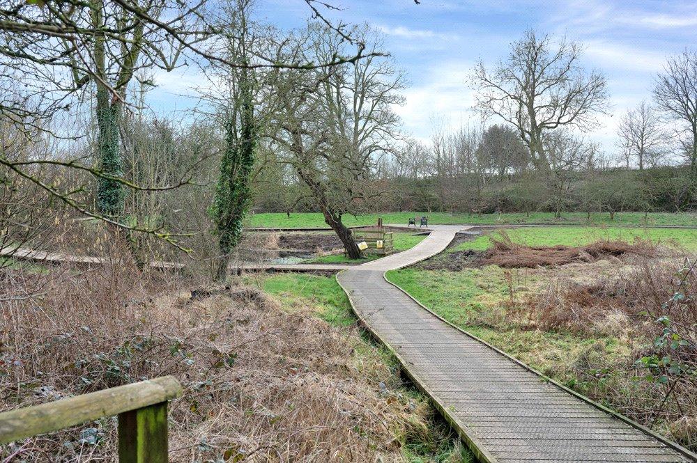 Local Walks