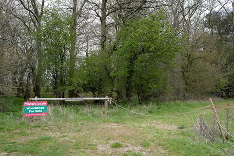 Land for sale, Barham Woods, Sandy Lane, Hemingstone IP6