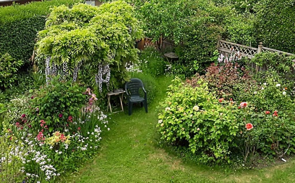 Summer garden