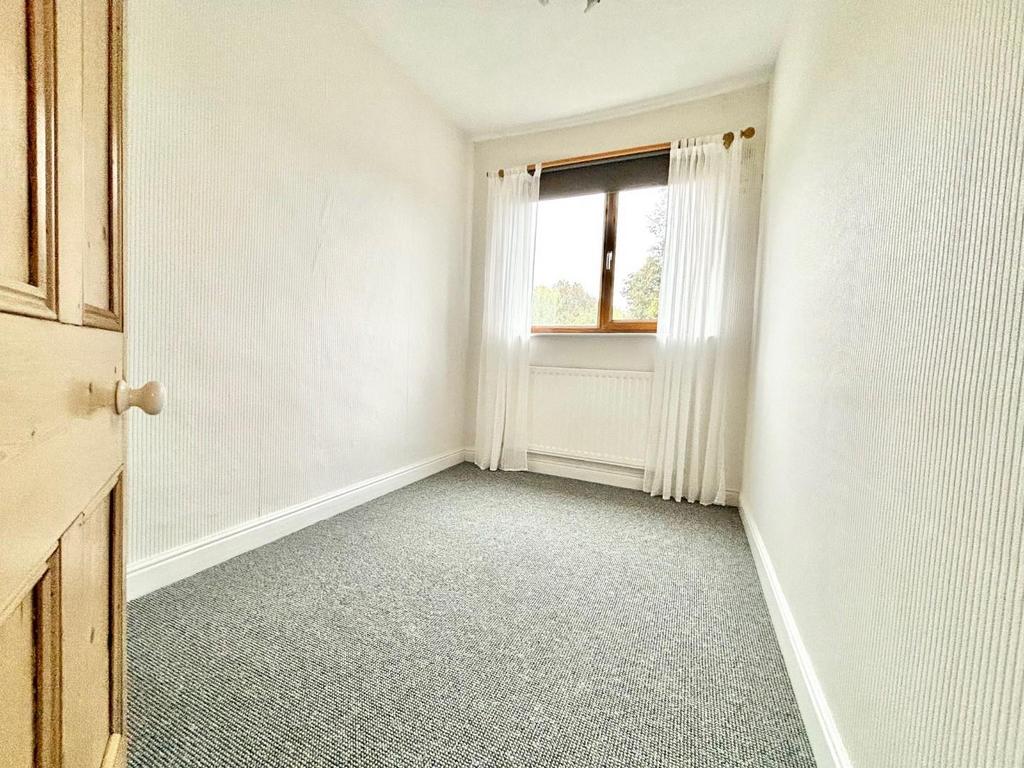 15 white lane 11.jpg
