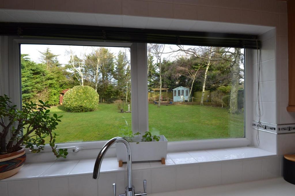 Kitchen view.JPG