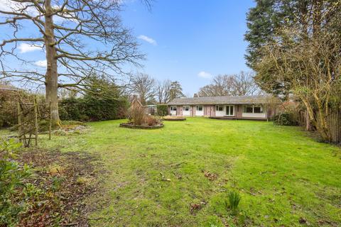 4 bedroom detached bungalow for sale - Chalk Road, Ifold, RH14