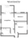 Split Level Ground Floor