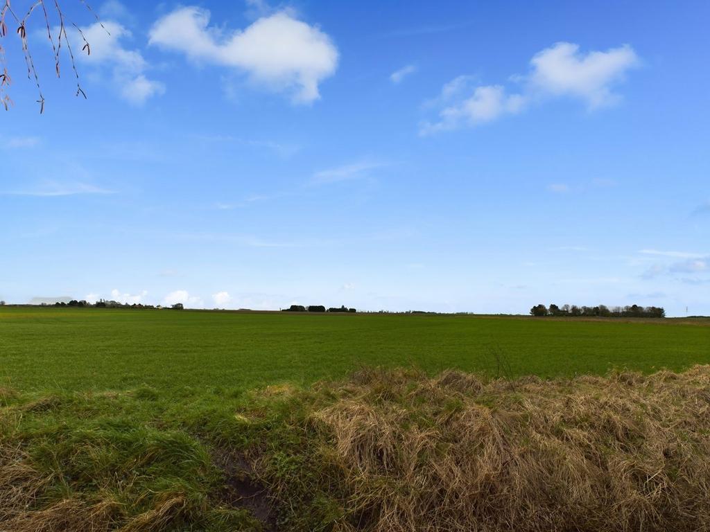 Field Views