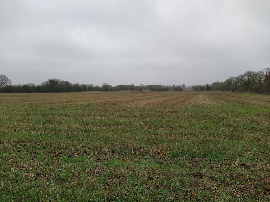 Attleborough Road, Attleborough NR17 Land for sale £170,000