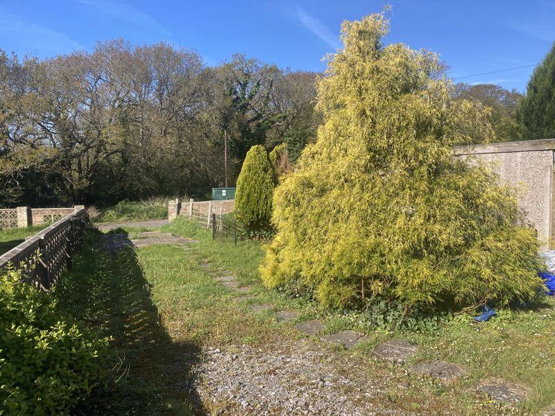 Back Of Garden