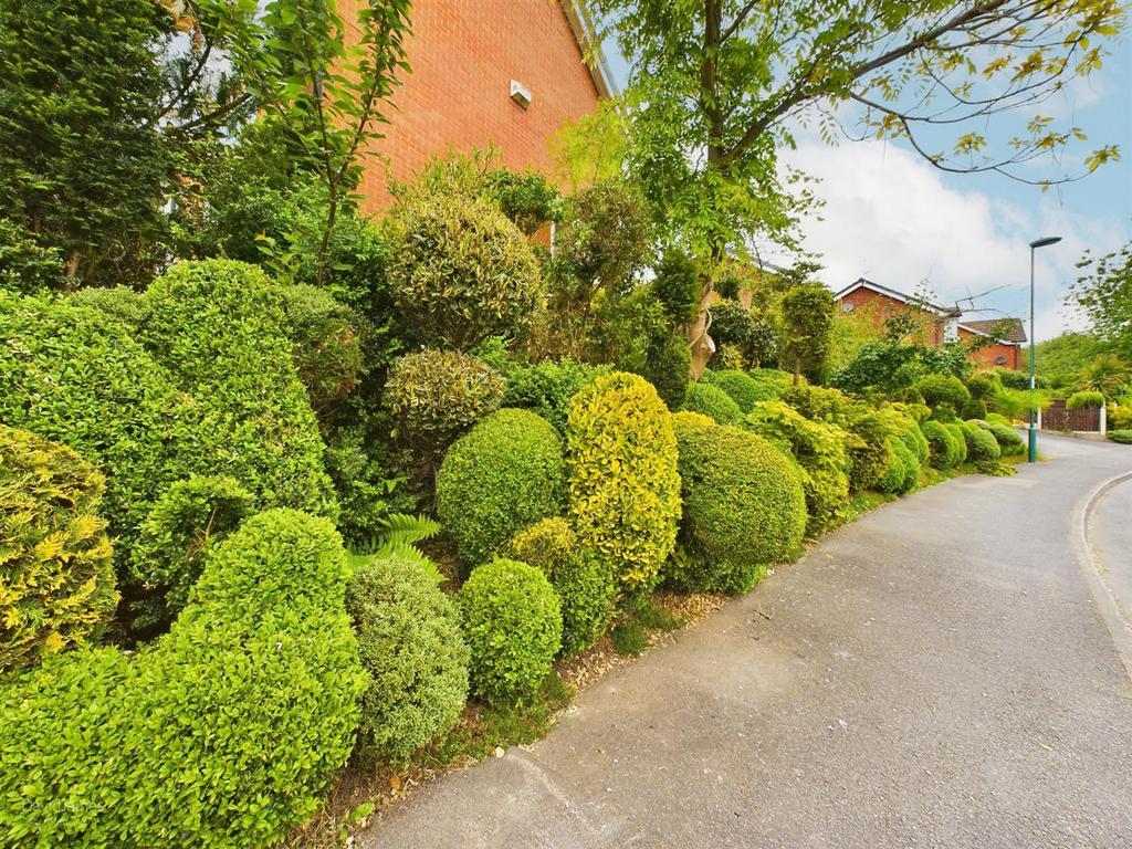 Side Garden