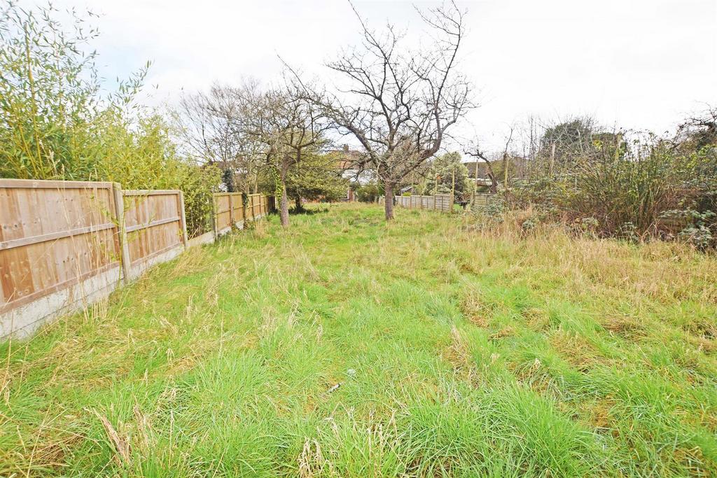 70 Marshall Road garden 2.jpg