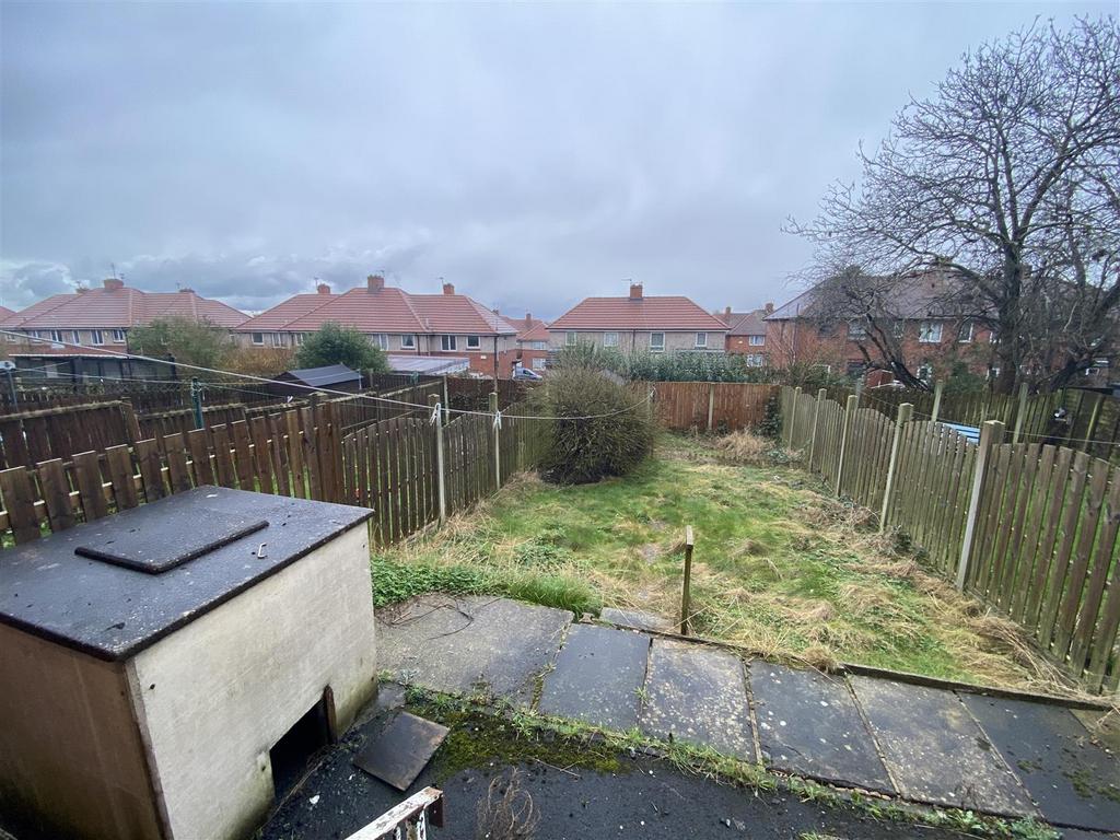Back Garden