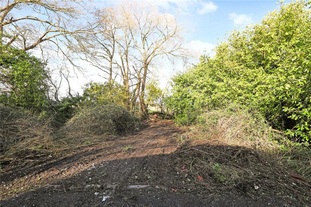 Picture No. 07
