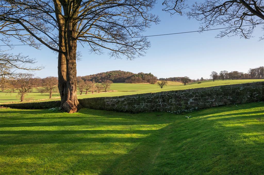 Farmland Views