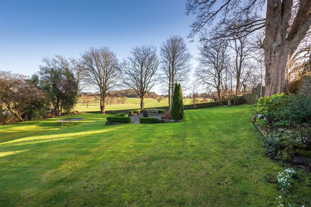 View To Garden Patio
