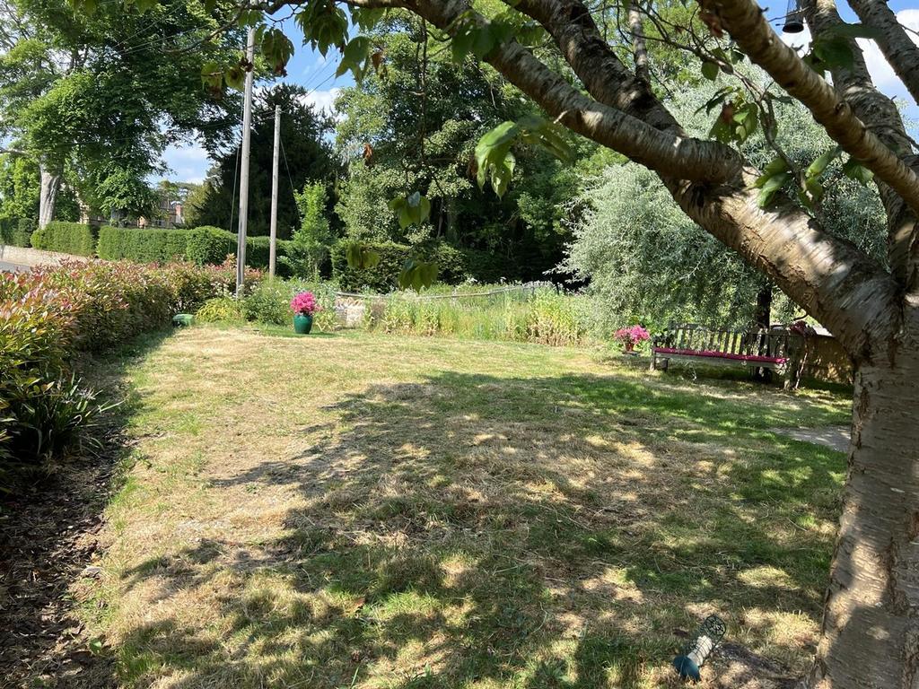 Sunny Garden.jpeg