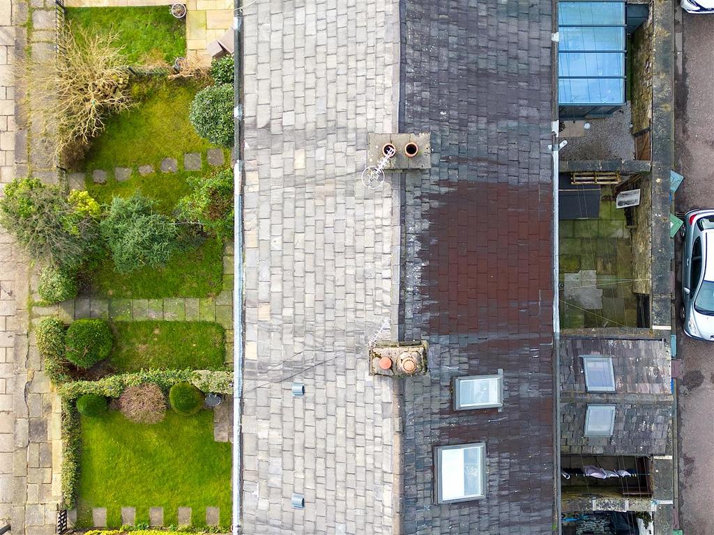 DJI 0081.jpg