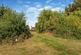 Additional image 32 of Breach Oak Lane, Corley, Coventry, Warwickshire, CV7