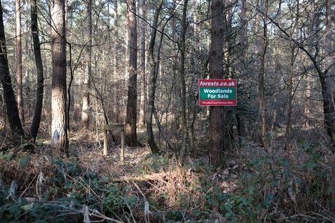 Woodland for sale, Cranbrook Road, Biddenden TN27