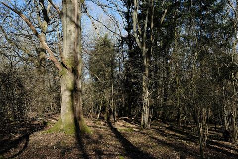 undefined, Tandridge Hill Lane, Godstone RH9