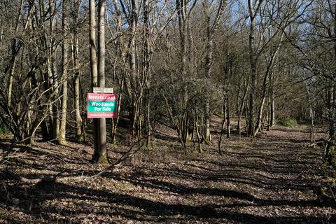 undefined, Tandridge Hill Lane, Godstone RH9