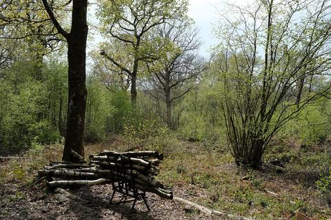 Woodland for sale, Mackerel Hill, Rye TN31