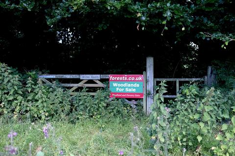 Woodland for sale - Five Ash Lane, Sutton Veny BA12