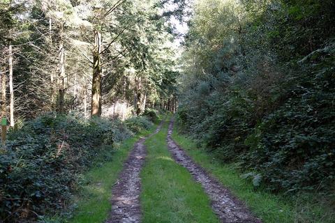 Woodland for sale - Harcombe, Sidmouth EX10