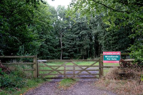 Woodland for sale - Spuryway Mill, Tiverton EX16