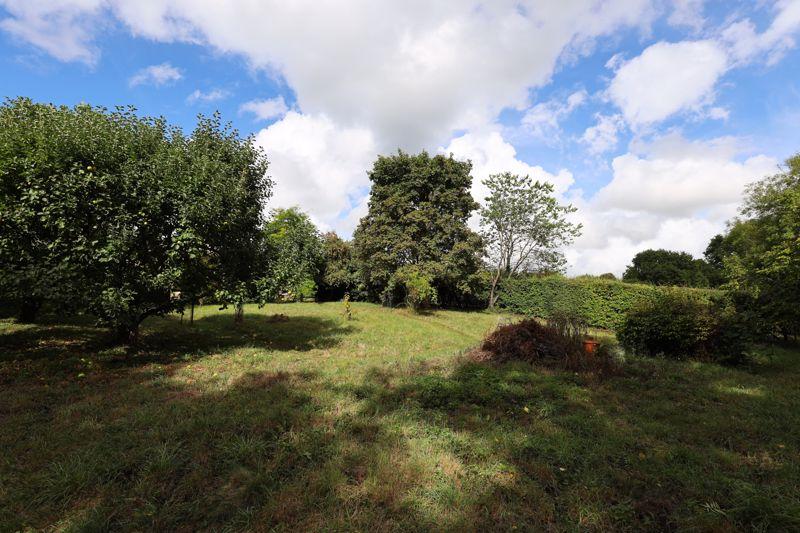 Orchard