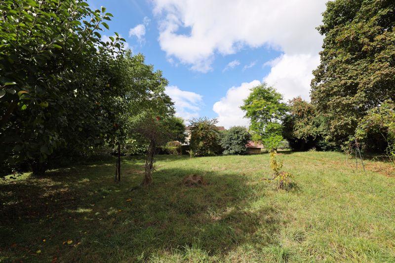 Orchard
