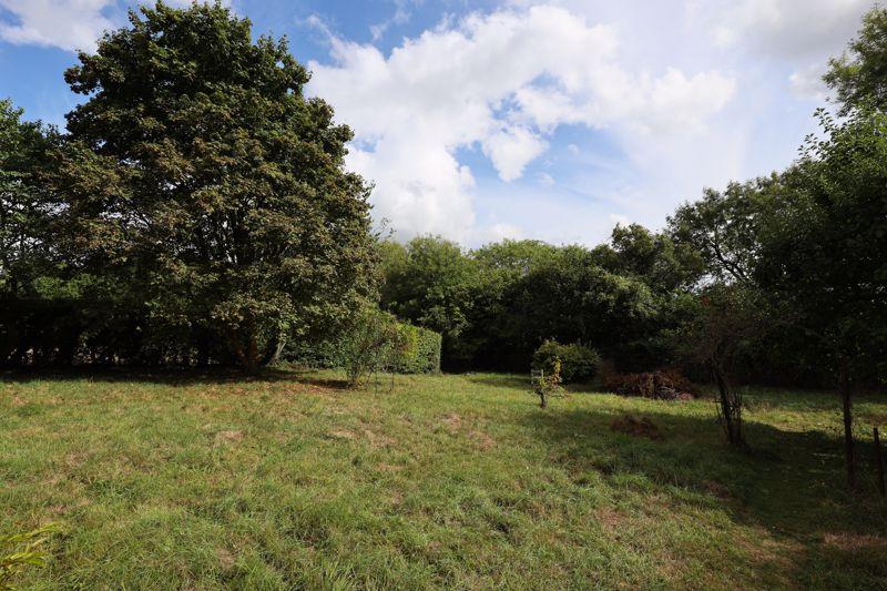 Orchard