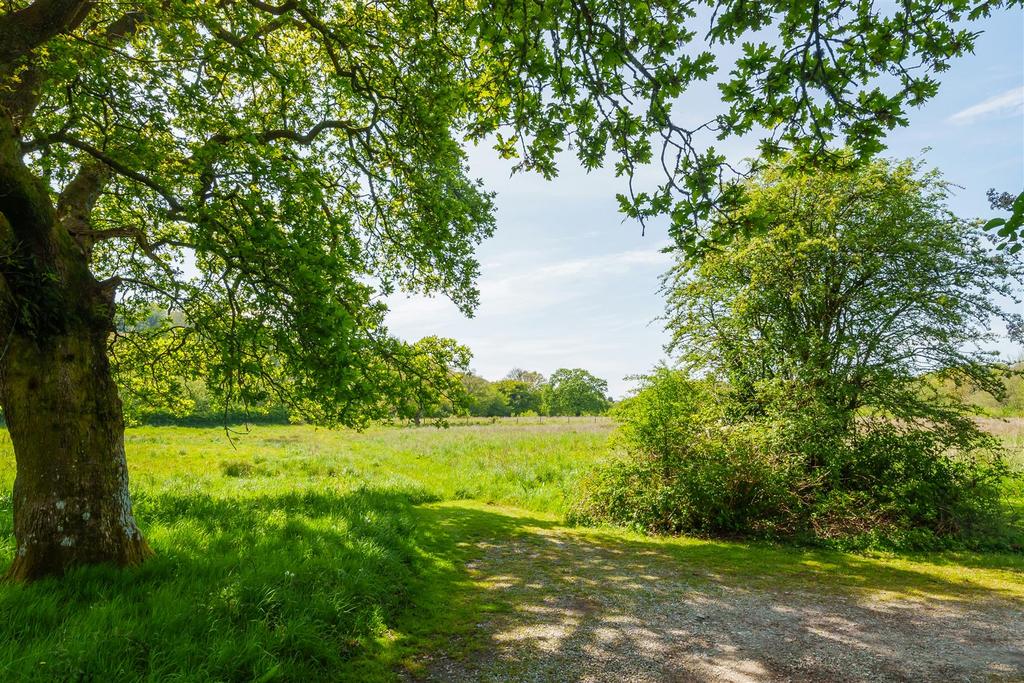 View over Meadow