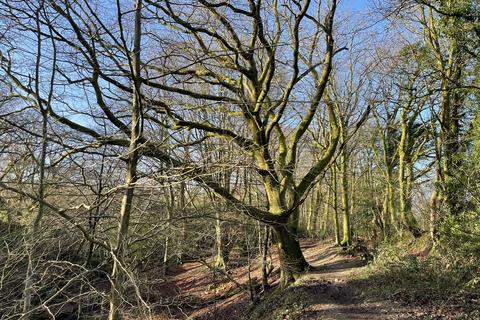 Woodland for sale, Cimla, Neath Port Talbot SA11