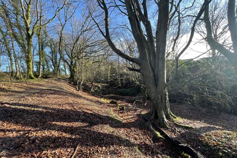 Woodland for sale, Cimla, Neath Port Talbot SA11