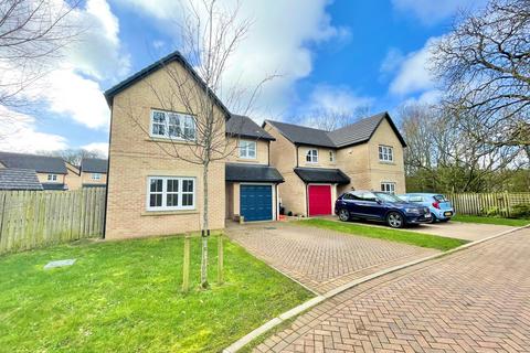 4 bedroom detached house for sale - Cassidy Drive, High Wood