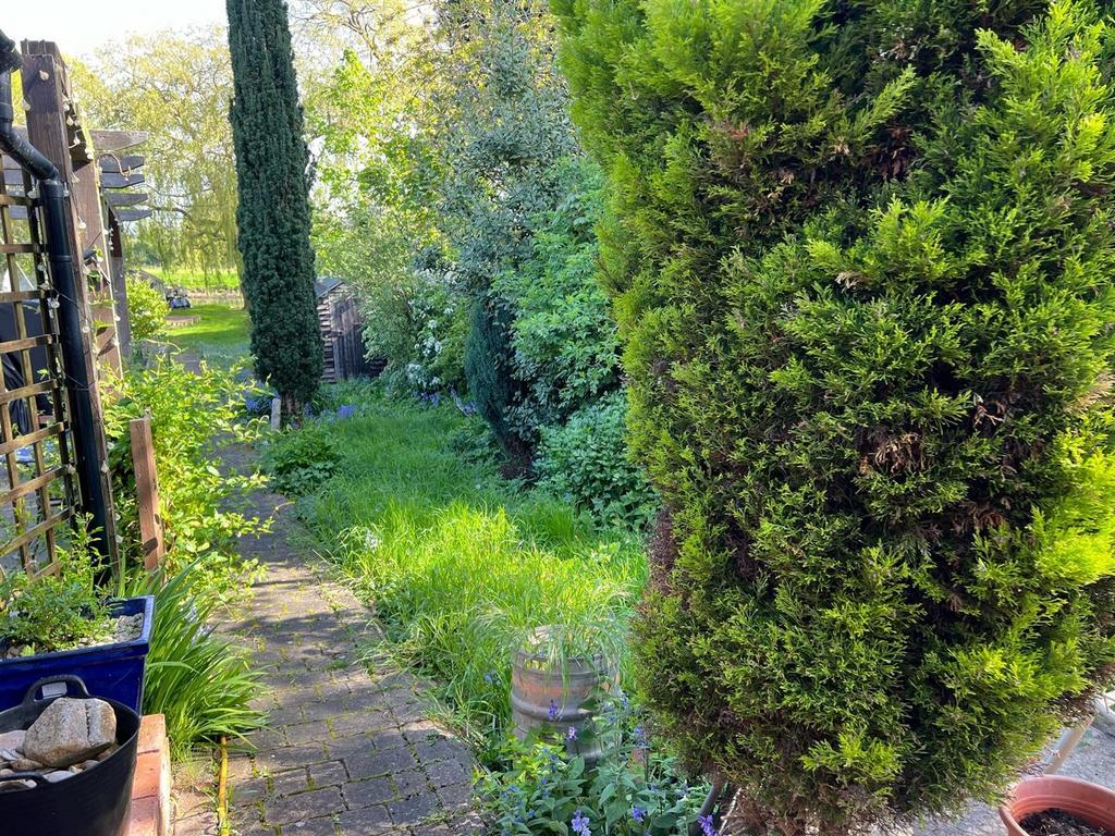 Rear Garden North Street 8.jpg