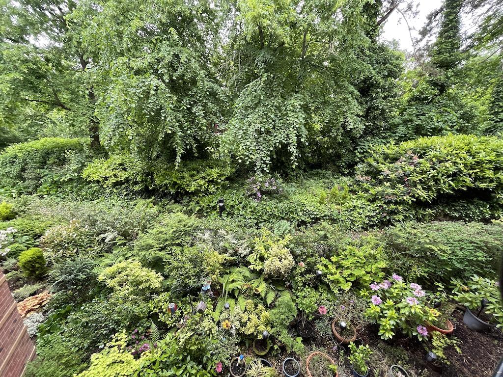 Image 16