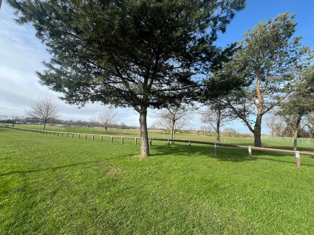 Lowhills1