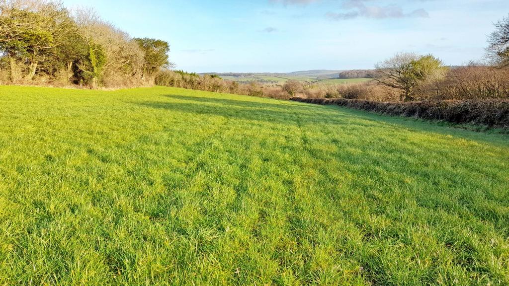 Bodmin Land for sale £200,000