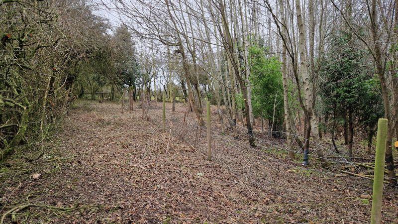 Coppiced land