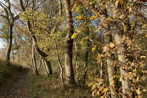 Land for sale, Woodland At Ffinnant Dingle