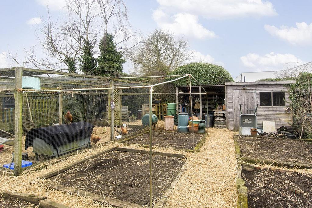 Chicken Enclosure