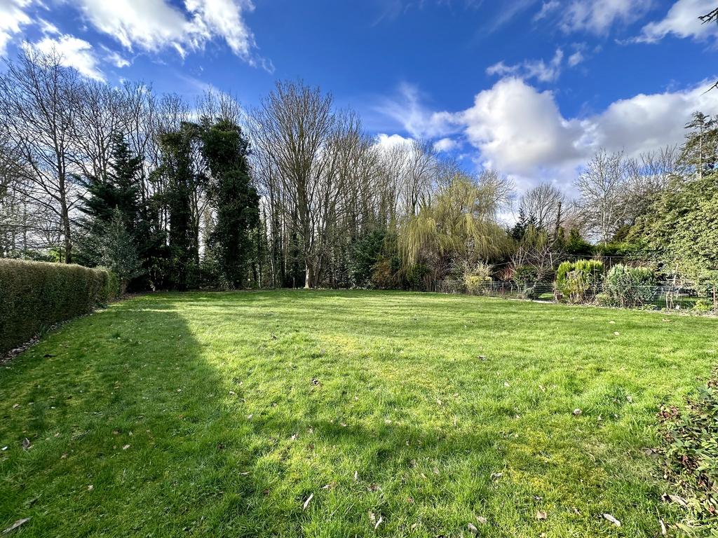 Garden 1